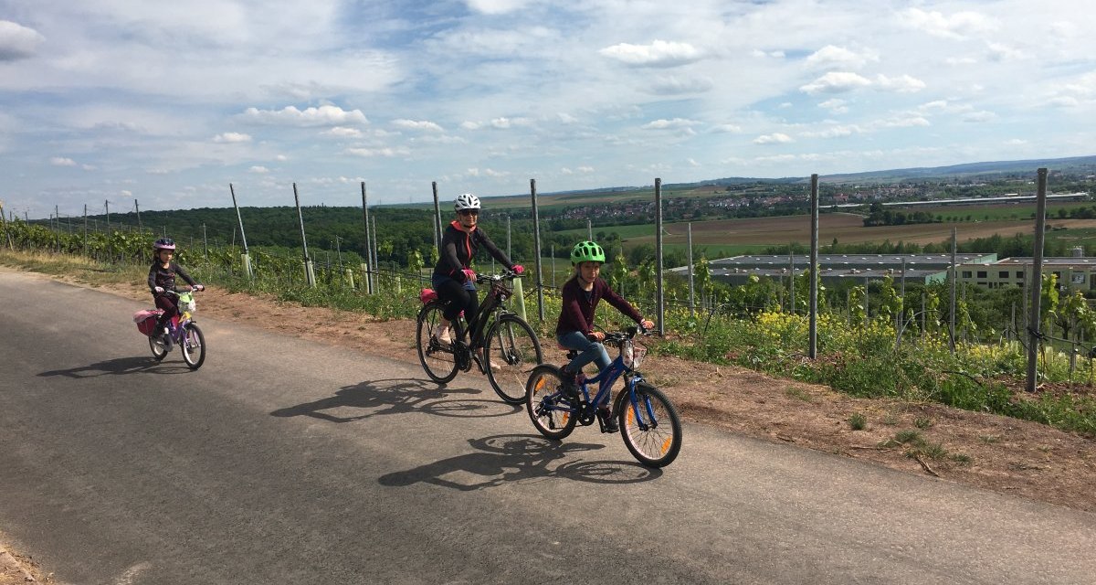 Drei Radfahrer, darunter zwei Kinder, fahren auf einem Weg durch Weinberge. Der Himmel ist bewölkt, im Hintergrund sind Felder und Gebäude zu sehen., © Land der 1000 Hügel - Kraichgau-Stromberg Drei Radfahrer, darunter zwei Kinder, fahren auf einem Weg durch Weinberge. Der Himmel ist bewölkt, im Hintergrund sind Felder und Gebäude zu sehen., © Land der 1000 Hügel - Kraichgau-Stromberg
