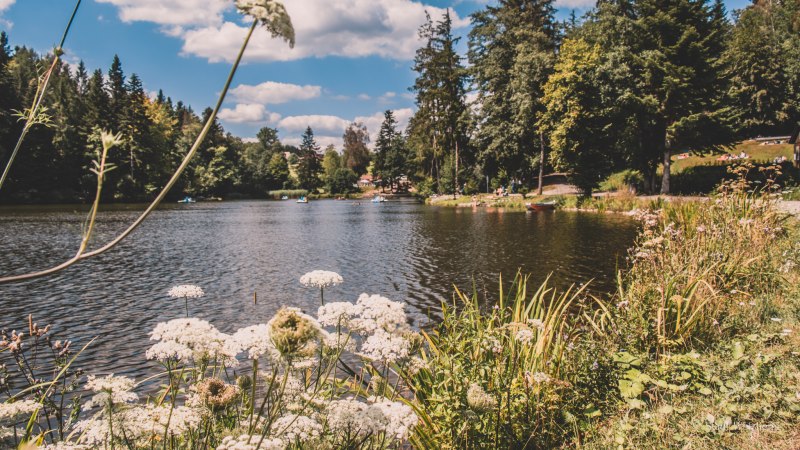 Ein idyllischer See mit weißen Blüten im Vordergrund, umgeben von Bäumen und einem blauen Himmel mit Wolken. Menschen entspannen am Ufer., © Stadt Welzheim Ein idyllischer See mit weißen Blüten im Vordergrund, umgeben von Bäumen und einem blauen Himmel mit Wolken. Menschen entspannen am Ufer., © Stadt Welzheim