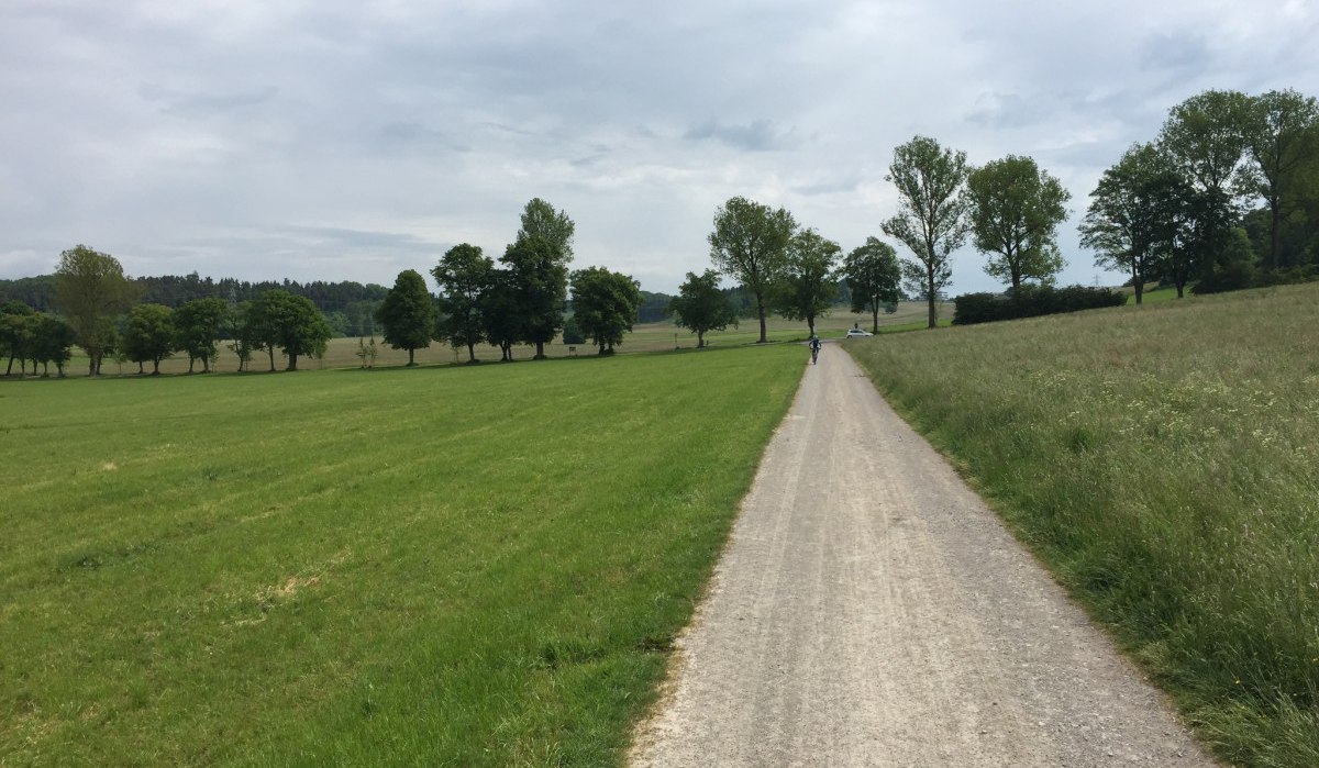 Ein Feldweg führt durch grüne Wiesen, gesäumt von Bäumen. Eine Person ist in der Ferne zu sehen. Der Himmel ist bewölkt., © www.pro-cycl.de