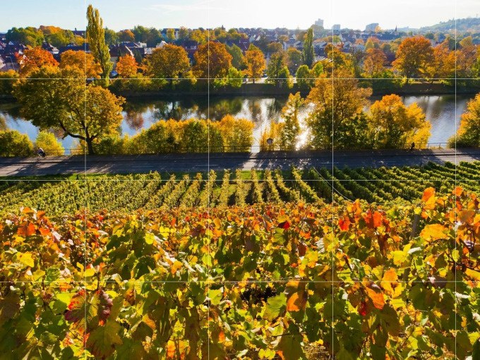 Herbstliche Weinberge mit buntem Laub erstrecken sich vor einem ruhigen Fluss. Im Hintergrund sind Bäume und eine Stadt zu sehen., © Cool-Tours StattReisen Herbstliche Weinberge mit buntem Laub erstrecken sich vor einem ruhigen Fluss. Im Hintergrund sind Bäume und eine Stadt zu sehen., © Cool-Tours StattReisen