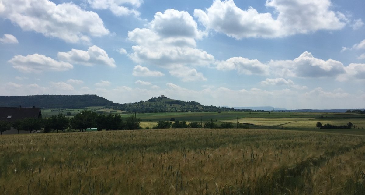 Ein weites Getreidefeld erstreckt sich vor einem H&uuml;gel mit der Wurmlinger Kapelle. Der Himmel ist leicht bew&ouml;lkt., &copy; www.pro-cycl.de