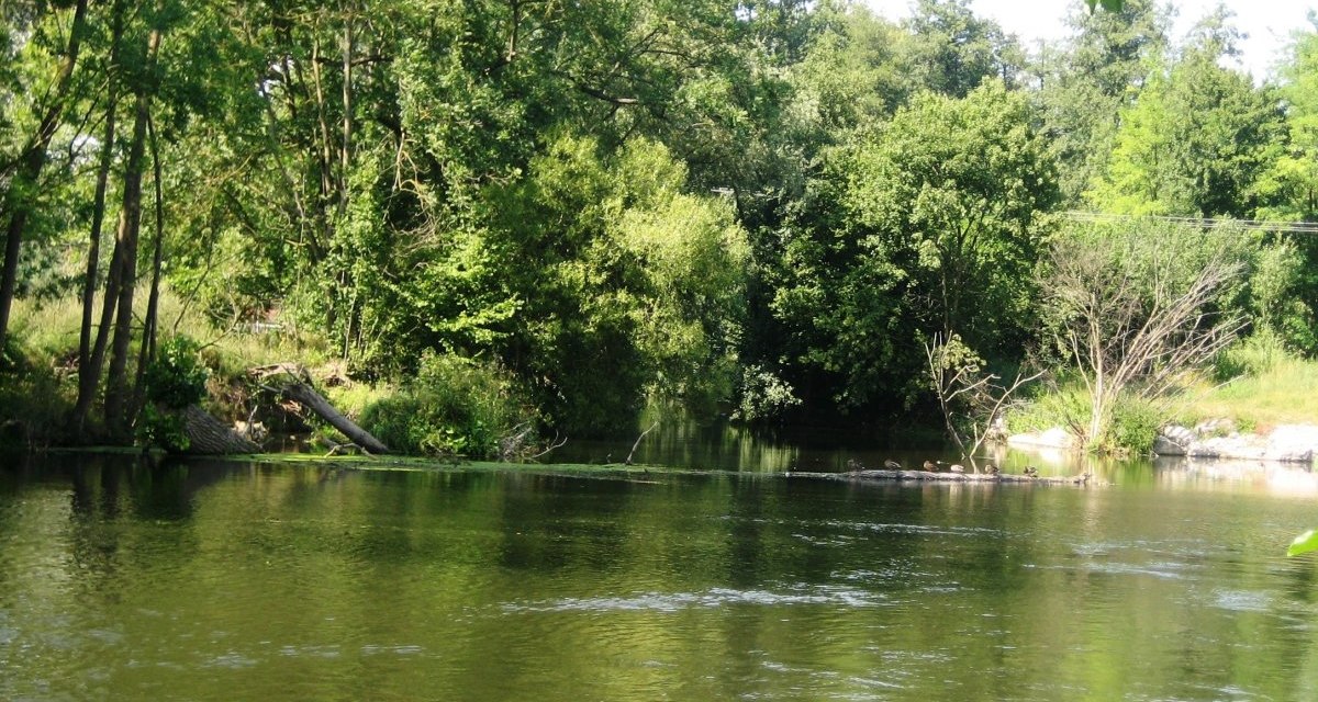 Ein ruhiger Fluss mit üppiger Vegetation am Ufer. Bäume spiegeln sich im Wasser, das von Sonnenlicht beleuchtet wird., © Land der 1000 Hügel - Kraichgau-Stromberg Ein ruhiger Fluss mit üppiger Vegetation am Ufer. Bäume spiegeln sich im Wasser, das von Sonnenlicht beleuchtet wird., © Land der 1000 Hügel - Kraichgau-Stromberg