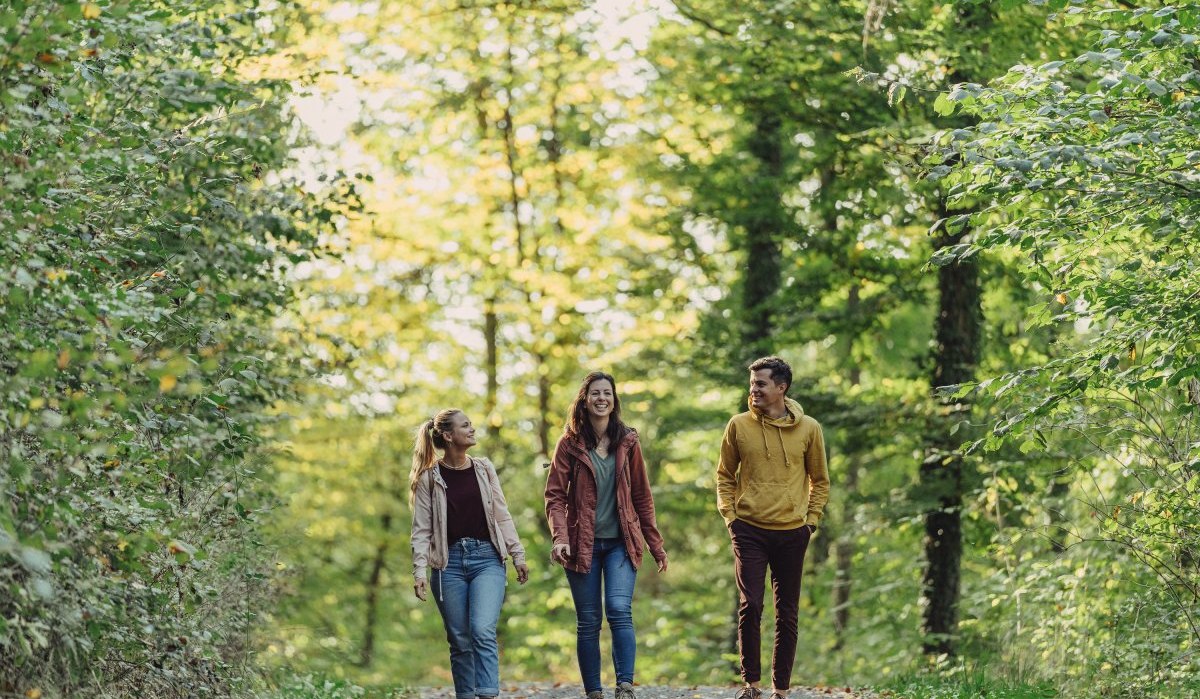 Wanderer im Wald, © Touristikgemeinschaft HeilbronnerLand e.V. Wanderer im Wald, © Touristikgemeinschaft HeilbronnerLand e.V.