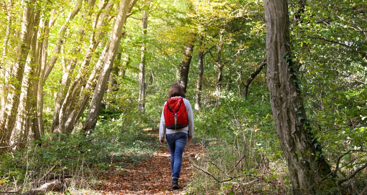 Eine Frau mit roten Rucksack läuft auf einem kleinen Pfad durch den herbstlichen Wald., © Foto: Mario Klaiber Eine Frau mit roten Rucksack läuft auf einem kleinen Pfad durch den herbstlichen Wald., © Foto: Mario Klaiber