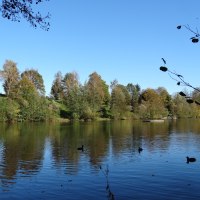 Ein See mit Enten und Bäumen im Hintergrund unter einem klaren blauen Himmel. Zweige ragen ins Bild., © Nürtingen - Stuttgart-Marketing GmbH