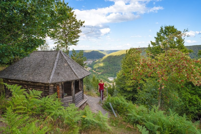 2. Globetrotter Wandertage Schwarzwald: Eine Wanderung für Singles über die Wetterfahnenhütte, © Touristik Bad Wildbad GmbH
