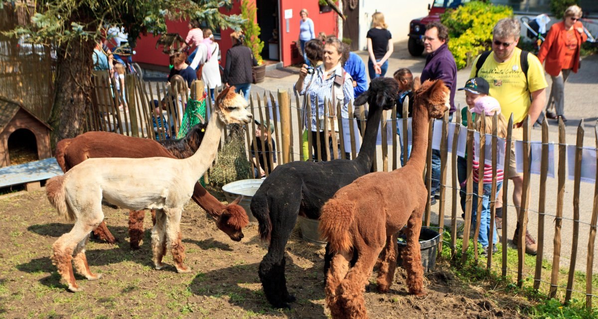 Die Waldm&uuml;hle ist eine junge Einrichtung, die sich auf Tiergest&uuml;tzte Arbeit und Erlebnisp&auml;dagogik konzentriert. Sie befindet sich am Ortsrand von Waiblingen und bietet professionelle Dienstleistungen an, hinter denen viel Motivation, &Uuml;berzeugung und Freude steckt., &copy; WTM GmbH Waiblingen
