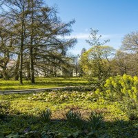 Ein grüner Park mit Bäumen, blühenden Pflanzen und einem Weg. Der Himmel ist blau und klar., © SMG, Sarah Schmid Ein grüner Park mit Bäumen, blühenden Pflanzen und einem Weg. Der Himmel ist blau und klar., © SMG, Sarah Schmid