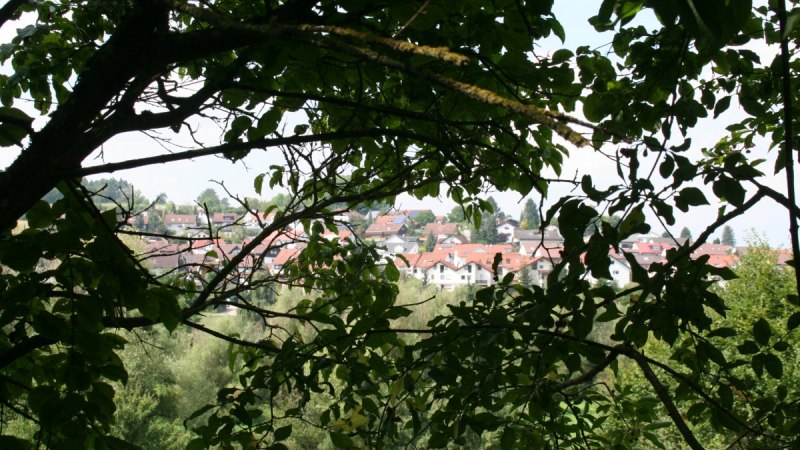 Blick durch dichte Baumzweige auf eine Stadt mit roten Dächern im Hintergrund., © Natur.Nah. Schönbuch & Heckengäu