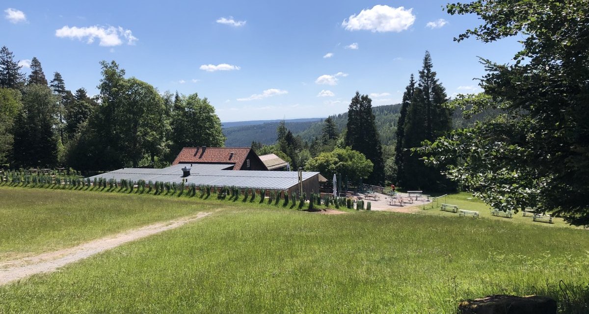 Eine Hütte umgeben von grünen Wiesen und Bäumen unter einem blauen Himmel mit wenigen Wolken., © Nördlicher Schwarzwald Eine Hütte umgeben von grünen Wiesen und Bäumen unter einem blauen Himmel mit wenigen Wolken., © Nördlicher Schwarzwald