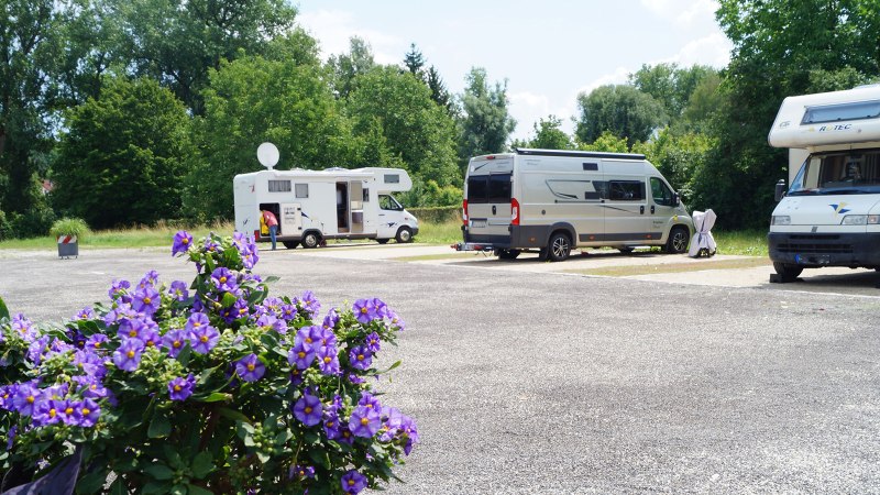 Wohnmobile auf einem Stellplatz in Nürtingen, umgeben von Bäumen. Im Vordergrund blühende violette Blumen., © Stadt Nürtingen, Clint Metzger Wohnmobile auf einem Stellplatz in Nürtingen, umgeben von Bäumen. Im Vordergrund blühende violette Blumen., © Stadt Nürtingen, Clint Metzger