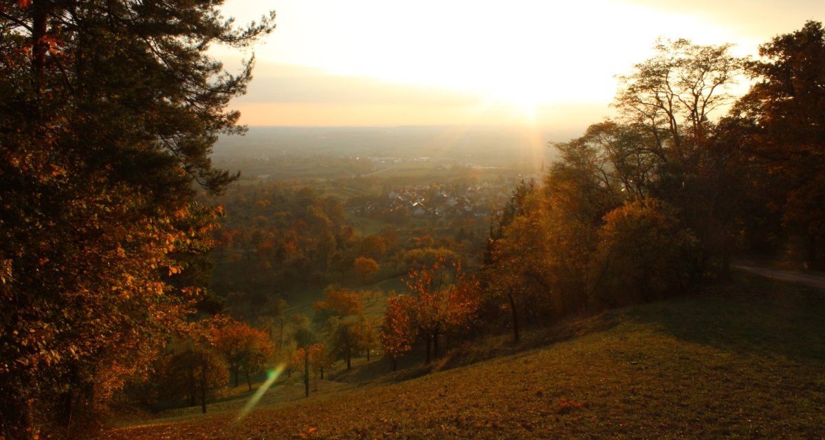 Impressionen LandTour Sch&ouml;nbuchTrauf, &copy; Natur.Nah. Sch&ouml;nbuch & Heckeng&auml;u