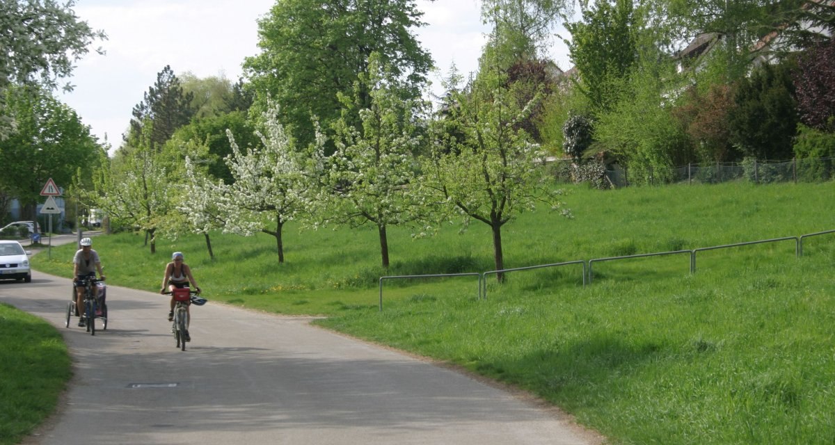 Zwei Radfahrer fahren auf einem Weg entlang bl&uuml;hender B&auml;ume und gr&uuml;ner Wiesen. Ein Auto ist im Hintergrund zu sehen., &copy; Stuttgart-Marketing GmbH