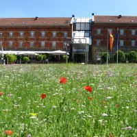 Das Hotel nestor Ludwigsburg mit einer blühenden Wiese im Vordergrund. Im Hintergrund ist das historische Gebäude mit roten Ziegeln zu sehen., © nestor Hotel Ludwigsburg Das Hotel nestor Ludwigsburg mit einer blühenden Wiese im Vordergrund. Im Hintergrund ist das historische Gebäude mit roten Ziegeln zu sehen., © nestor Hotel Ludwigsburg