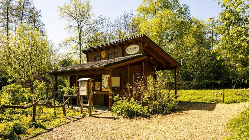 Ein kleines Holzgeb&auml;ude namens 'Alvarium' steht inmitten einer gr&uuml;nen, bewaldeten Umgebung unter klarem Himmel., &copy; Stuttgart-Marketing GmbH, Sarah Schmid