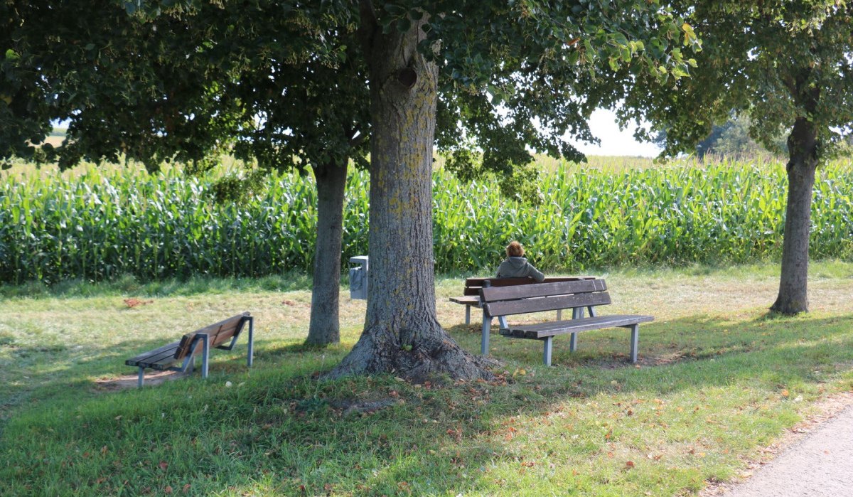 Eine Person sitzt auf einer Bank unter einem Baum, umgeben von Gras und einem Maisfeld. Weitere Bänke stehen in der Nähe., © Remstal Tourismus e.V. Eine Person sitzt auf einer Bank unter einem Baum, umgeben von Gras und einem Maisfeld. Weitere Bänke stehen in der Nähe., © Remstal Tourismus e.V.