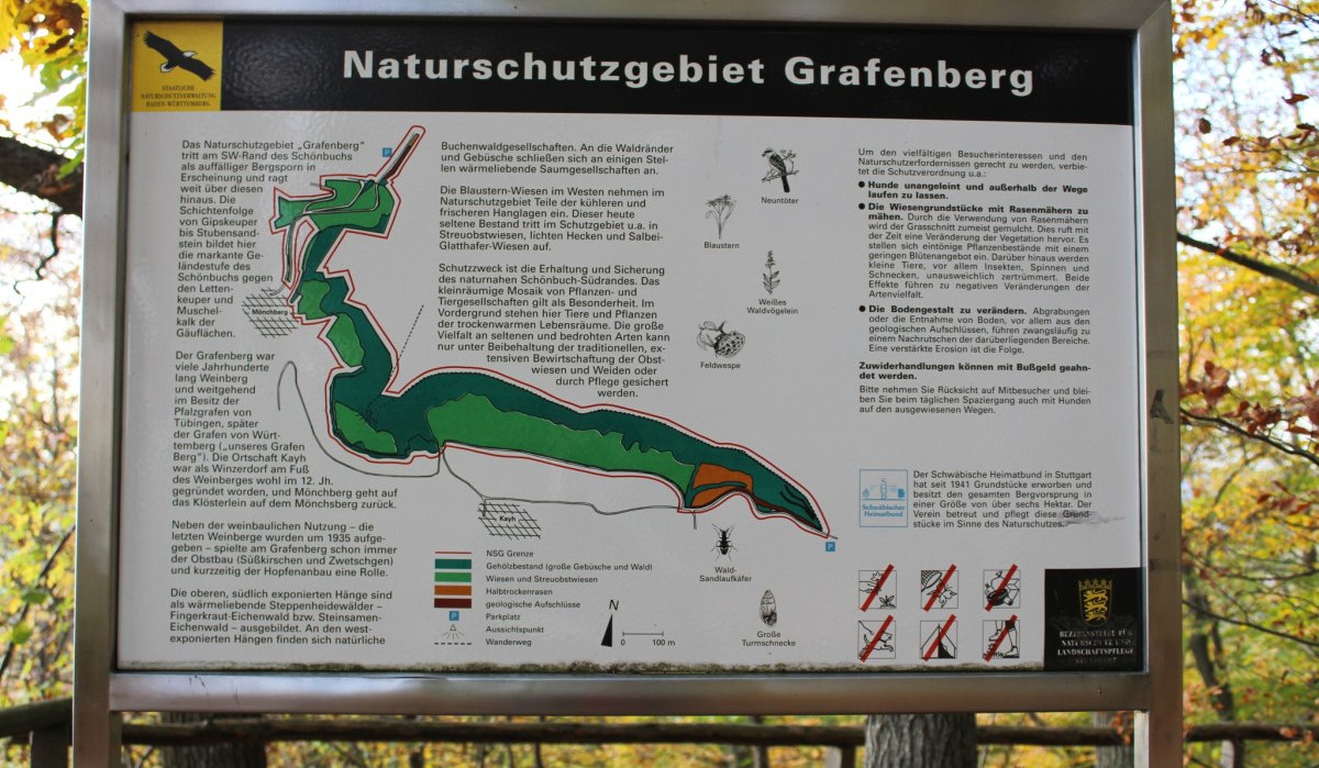 Infotafel des Naturschutzgebiets Grafenberg mit Karte, Texten und Illustrationen von Pflanzen und Tieren. Hinweise zum Schutz und zur Nutzung des Gebiets., © Natur.Nah. Schönbuch & Heckengäu