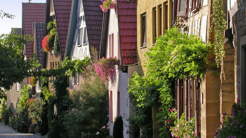 Fachwerkhäuser in Marbach am Neckar mit blühenden Pflanzen und roten Dächern. Die Straße ist von Bäumen und Blumen gesäumt., © Tourismusgemeinschaft Marbach-Bottwartal/Dieter Sukowski