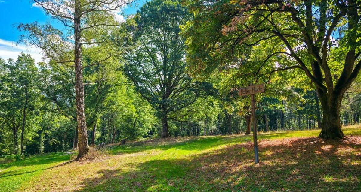 Boller Heide, © Distrito de Göppingen Boller Heide, © Distrito de Göppingen