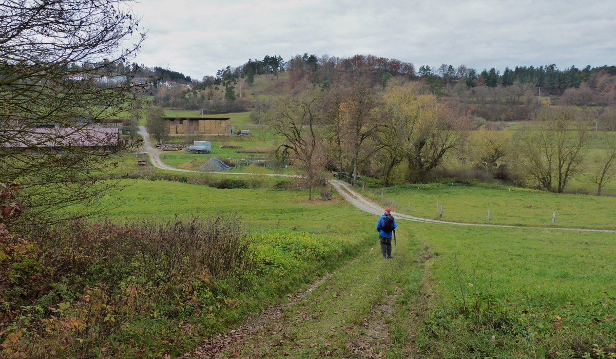 Ein Wanderer in blauer Jacke geht einen grasbewachsenen Weg hinunter. Im Hintergrund sind Bäume, Felder und Gebäude zu sehen., © Natur.Nah. Schönbuch & Heckengäu