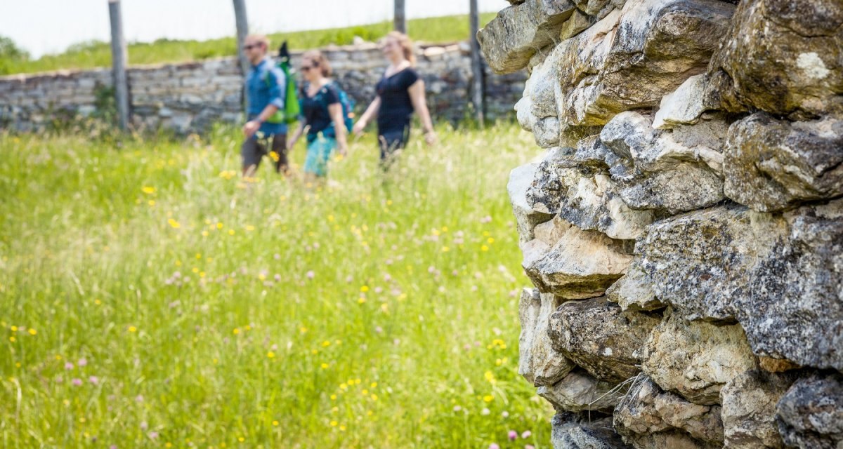 Steinmauer im Vordergrund, drei unscharfe Personen im Hintergrund auf einer blühenden Wiese. Historische Atmosphäre., © hochgehberge Steinmauer im Vordergrund, drei unscharfe Personen im Hintergrund auf einer blühenden Wiese. Historische Atmosphäre., © hochgehberge