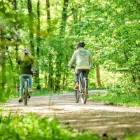 Radweg, Ebnisee, © SWT Radweg, Ebnisee, © SWT