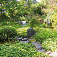 Ein üppiger Japangarten mit grünen Pflanzen, Steinen und einem kleinen Teich. Im Hintergrund sind Bäume und ein Steinlaterne sichtbar., © Stuttgart-Marketing GmbH Ein üppiger Japangarten mit grünen Pflanzen, Steinen und einem kleinen Teich. Im Hintergrund sind Bäume und ein Steinlaterne sichtbar., © Stuttgart-Marketing GmbH