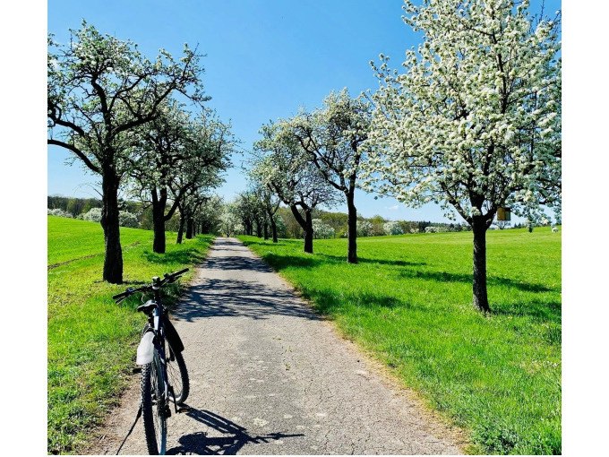 Ein E-Bike steht auf einem ländlichen Weg, gesäumt von blühenden Bäumen. Der Himmel ist klar und blau, die Umgebung grün und einladend., © Stadt Besigheim Ein E-Bike steht auf einem ländlichen Weg, gesäumt von blühenden Bäumen. Der Himmel ist klar und blau, die Umgebung grün und einladend., © Stadt Besigheim