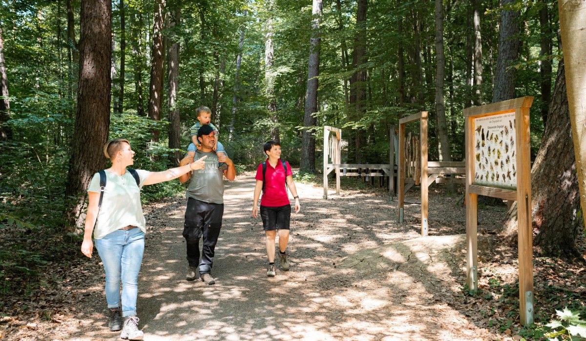Eine Familie spaziert auf einem Waldweg. Ein Kind sitzt auf den Schultern eines Erwachsenen. Informationstafeln sind am Wegesrand zu sehen., © Stadtmarketing Weil der Stadt Eine Familie spaziert auf einem Waldweg. Ein Kind sitzt auf den Schultern eines Erwachsenen. Informationstafeln sind am Wegesrand zu sehen., © Stadtmarketing Weil der Stadt
