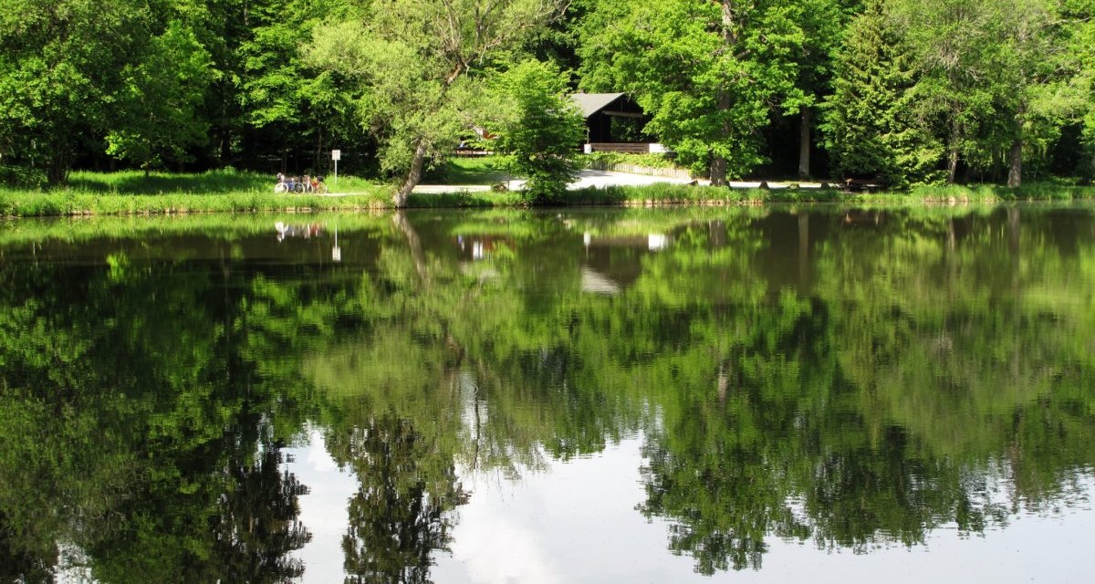 Ein idyllischer See mit klarer Spiegelung der umliegenden Bäume. Ein Pavillon und Fahrräder sind am Ufer sichtbar., © RadL Leonberg Ein idyllischer See mit klarer Spiegelung der umliegenden Bäume. Ein Pavillon und Fahrräder sind am Ufer sichtbar., © RadL Leonberg