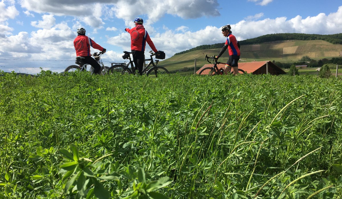 Drei Radfahrer in roten Jacken stehen auf einem Feldweg. Im Vordergrund ist eine grüne Wiese, im Hintergrund Hügel und ein blauer Himmel mit Wolken., © Land der 1000 Hügel - Kraichgau-Stromberg
