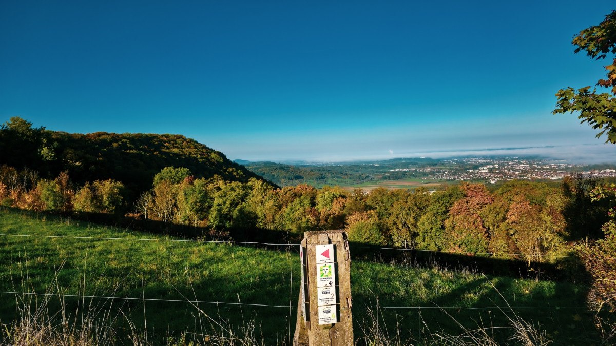 Panoramablick von der Maierhalde auf ein grünes Tal und eine Stadt in der Ferne. Ein Holzpfosten mit Wanderwegmarkierungen steht im Vordergrund., © Landkreis Göppingen Panoramablick von der Maierhalde auf ein grünes Tal und eine Stadt in der Ferne. Ein Holzpfosten mit Wanderwegmarkierungen steht im Vordergrund., © Landkreis Göppingen