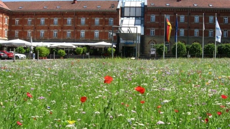 Hotel nestor Ludwigsburg, © nestor Hotel Ludwigsburg Hotel nestor Ludwigsburg, © nestor Hotel Ludwigsburg