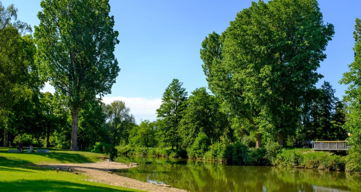 Grünes Flussufer mit großen Bäumen und einer Wiese unter blauem Himmel. Ein kleiner Strandabschnitt ist sichtbar., © WTM GmbH Waiblingen Grünes Flussufer mit großen Bäumen und einer Wiese unter blauem Himmel. Ein kleiner Strandabschnitt ist sichtbar., © WTM GmbH Waiblingen