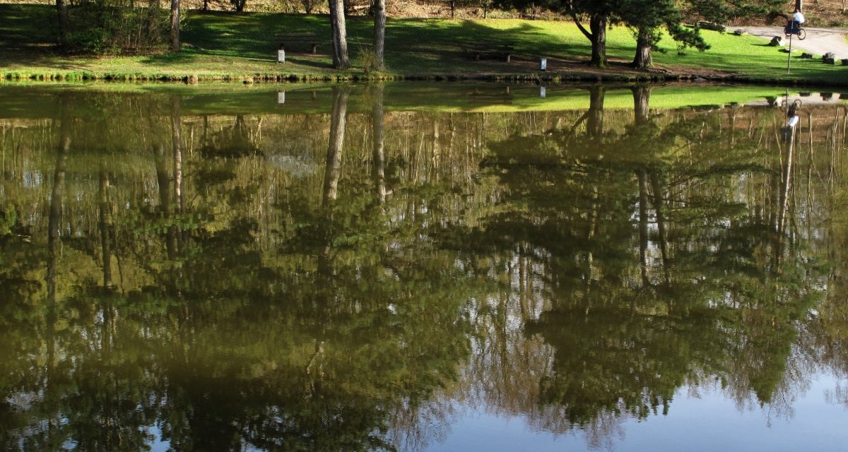 Ein ruhiger See spiegelt Bäume und einen Spaziergänger wider. Die Umgebung ist grün und friedlich., © RadL Leonberg Ein ruhiger See spiegelt Bäume und einen Spaziergänger wider. Die Umgebung ist grün und friedlich., © RadL Leonberg