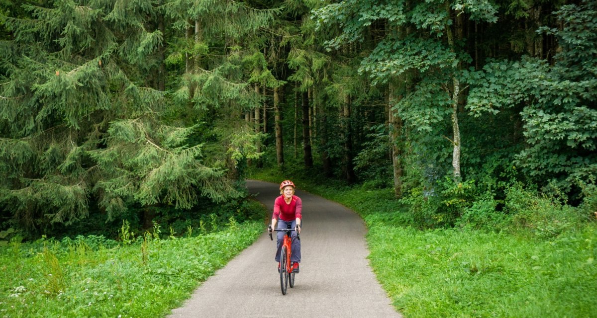 Durch den Wald und durch offene Wiesenlandschaft, immer der Nagold folgend, © Nördlicher Schwarzwald Durch den Wald und durch offene Wiesenlandschaft, immer der Nagold folgend, © Nördlicher Schwarzwald
