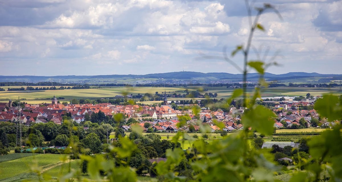Panoramablick auf eine Stadt mit roten D&auml;chern, umgeben von gr&uuml;nen Feldern und H&uuml;geln. Im Vordergrund sind unscharfe Pflanzen zu sehen, der Himmel ist bew&ouml;lkt., &copy; Land der 1000 H&uuml;gel - Kraichgau-Stromberg
