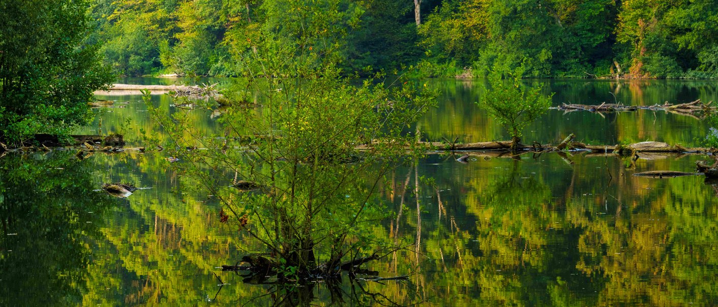 Campingplatz Steinbach Schwäbisch Hall, © Michael Kühneisen Campingplatz Steinbach Schwäbisch Hall, © Michael Kühneisen