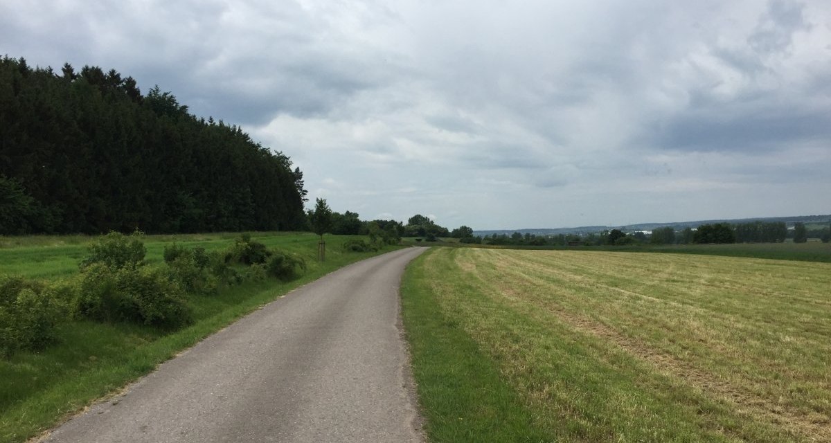 Ein schmaler Weg schl&auml;ngelt sich durch gr&uuml;ne Felder und entlang eines Waldes unter einem bew&ouml;lkten Himmel., &copy; www.pro-cycl.de