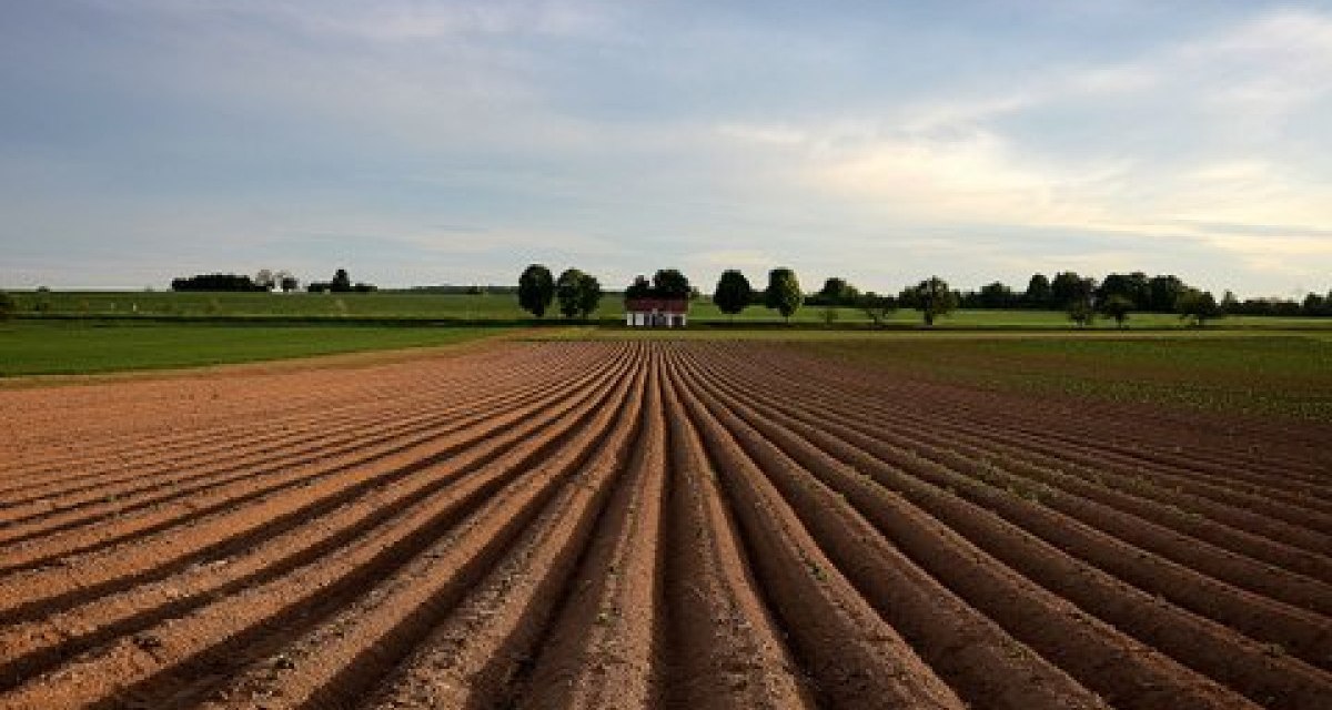 Weitläufiges Feld mit Furchen, im Hintergrund ein kleines Gebäude und Bäume unter bewölktem Himmel., © Remstal Tourismus e.V.