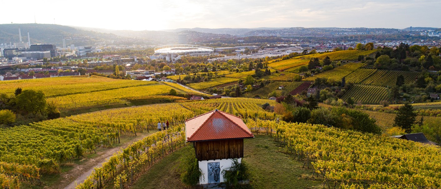 Weinberge im Vordergrund mit einem kleinen Gebäude. Im Hintergrund ist eine Stadtlandschaft mit Stadion und Hügeln zu sehen., © Weingut Wöhrwag