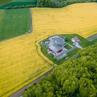 Luftaufnahme eines Bauernhofs inmitten gelber Felder, umgeben von grünen Wäldern und Wiesen. Gebäude und Wege sind deutlich sichtbar., © Waldhof