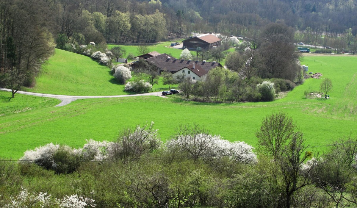 Gr&uuml;ne Wiesen und bl&uuml;hende B&auml;ume umgeben einen Bauernhof im Glemstal. Im Hintergrund erstreckt sich ein dichter Wald., &copy; RadL Leonberg
