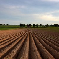 Ein Feld mit gleichmäßigen Furchen, im Hintergrund ein kleines Gebäude und Bäume unter einem bewölkten Himmel., © Remstal Tourismus e.V. Ein Feld mit gleichmäßigen Furchen, im Hintergrund ein kleines Gebäude und Bäume unter einem bewölkten Himmel., © Remstal Tourismus e.V.