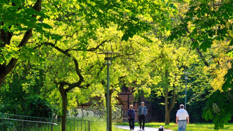 Ein sonniger Parkweg mit Menschen und einem Hund, umgeben von grünen Bäumen. Im Hintergrund ist ein Gebäude zu sehen., © WTM GmbH Waiblingen Ein sonniger Parkweg mit Menschen und einem Hund, umgeben von grünen Bäumen. Im Hintergrund ist ein Gebäude zu sehen., © WTM GmbH Waiblingen