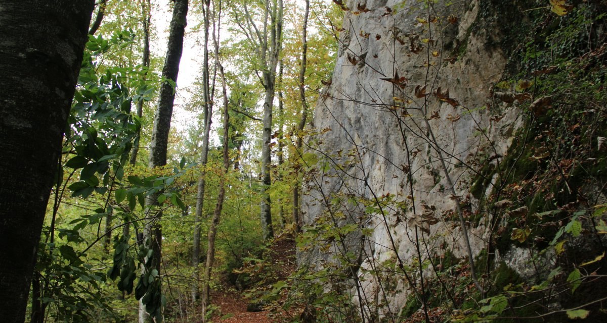 Ein Waldweg führt an einem großen Felsen vorbei, umgeben von Bäumen mit Herbstlaub., © Bad Urach Tourismus Ein Waldweg führt an einem großen Felsen vorbei, umgeben von Bäumen mit Herbstlaub., © Bad Urach Tourismus