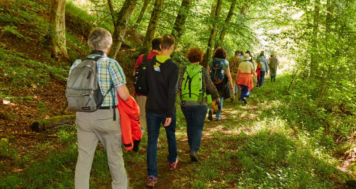 Wanderung auf dem Herzog-J&auml;ger-Pfad, &copy; Natur.Nah. Sch&ouml;nbuch & Heckeng&auml;u