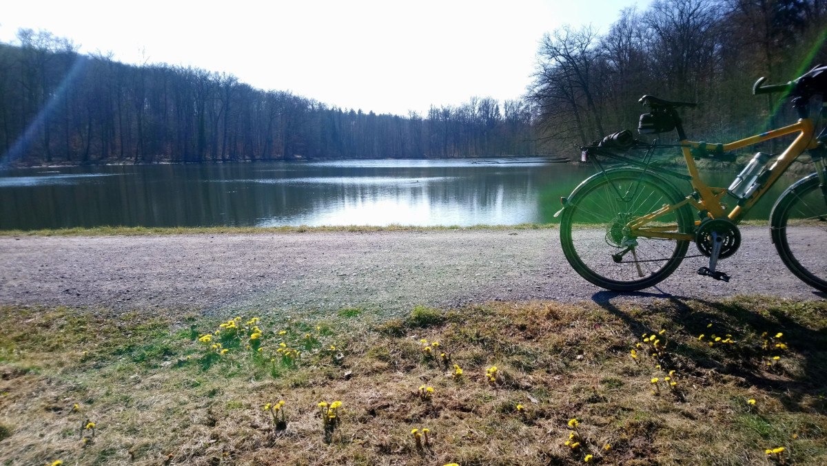 Ein Fahrrad steht am Ufer des Katzenbachsees. Gelbe Blumen bl&uuml;hen im Vordergrund, w&auml;hrend der See von einem Wald umgeben ist., &copy; Natur.Nah. Sch&ouml;nbuch & Heckeng&auml;u
