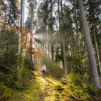 &copy; N&ouml;rdlicher Schwarzwald