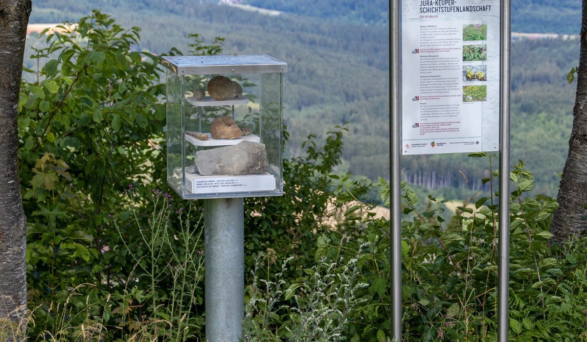 Infotafel und Gesteinsvitrine am geologischen Pfad Hohenrechberg, umgeben von Bäumen und mit Blick auf eine hügelige Landschaft., © Foto Thomas Zehnder Infotafel und Gesteinsvitrine am geologischen Pfad Hohenrechberg, umgeben von Bäumen und mit Blick auf eine hügelige Landschaft., © Foto Thomas Zehnder